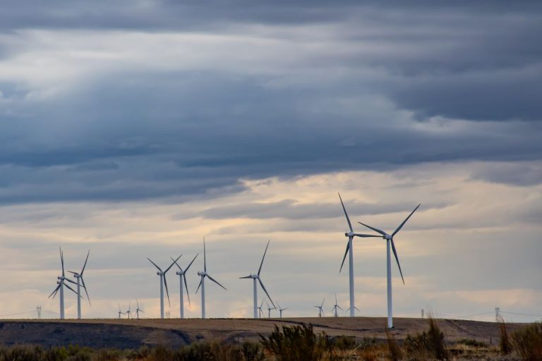 Wind turbines in a field.